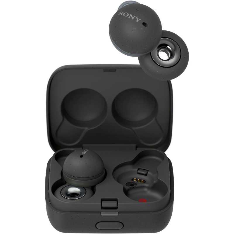 LinkBuds True Wireless Earbuds - (Gray)