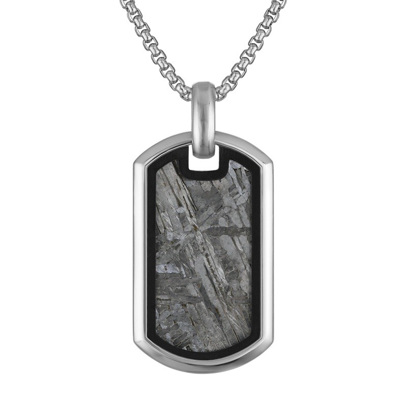 Stainless Steel &  Meteroite dog tag pendant Stainless Steel &  Meteroite dog tag pendant